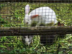 -上膳源有机农场