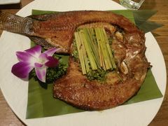 -紫滇源云南生态菜(丹凤街店)