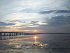 -宝安西湾红树林湿地公园