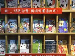 -熊猫邮局(少城店)