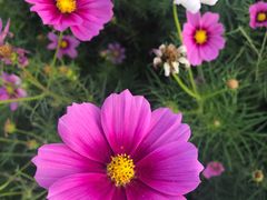 -洪湖湿地生态园