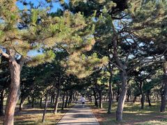 -天坛公园