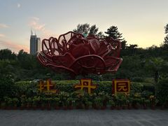 -牡丹园