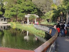 -四海公园(南山区)