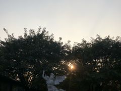-巴山一绝烤全羊(三圣乡刘家花园店)