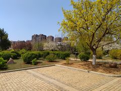 -前关湿地公园