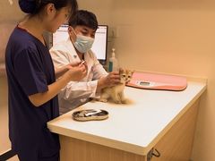 -全心全意连锁动物医院·微创中心·内科急重症·心脏专科(丰管路店)