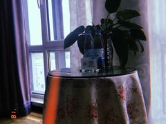 -山东政协大厦维景大酒店
