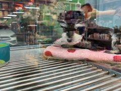 -FAELING PETS美天灵宠物(合生汇店)