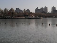-莲花池公园