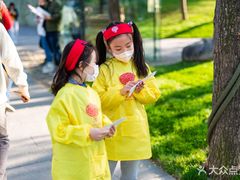 -杨梅红艺术教育(凤城教学中心)