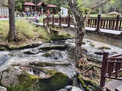 -汤旺河林海奇石景区