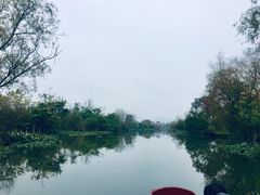 -会仙湿地