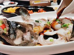 老虎斑-金苑海鲜酒家(来魅力店)