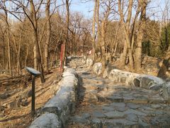 -阳台山自然风景区