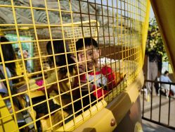 -宝燕乐园(闵行旗舰店)