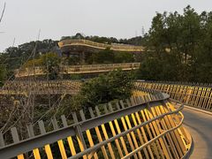 -福道