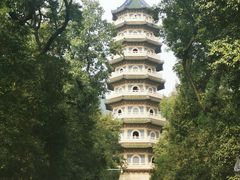 -灵谷景区