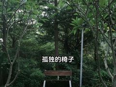 -福田红树林生态公园