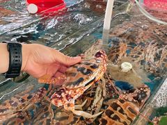 -四川小胡子海鲜(丁村万人海鲜广场店)