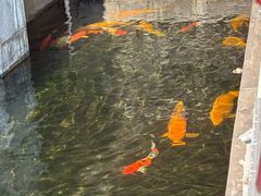 -长春观