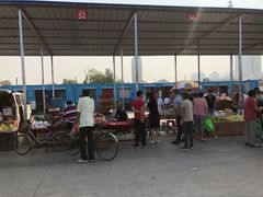 -何庄子阿米玛玛农产品批发市场