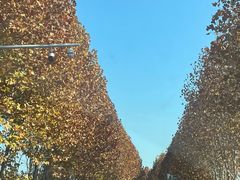 -南京金牛湖风景区