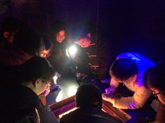 -秃鹫湾·推理大师沉浸式实景演绎推理剧场