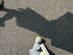 -嘉北郊野公园