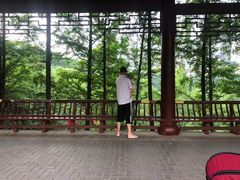-重庆彩云湖湿地公园