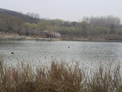 -河北省园博园