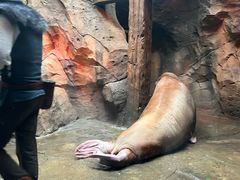 -哈尔滨波塞冬海底世界