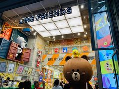 -line friends(明洞旗舰店)