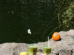 -COSTA COFFEE(西湖天地店)