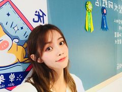 -柴犬高等学院·狗咖·柴犬售卖·宠物训练