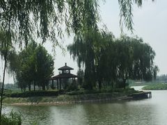 -白洋淀景区