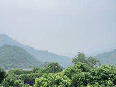 -广州市石门国家森林公园