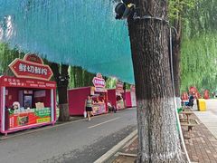 -北戴河集发农业梦想王国