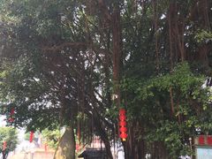 -仓山金山寺