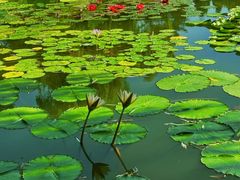 -国家植物园南园