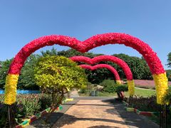 -松山湖梦幻百花洲