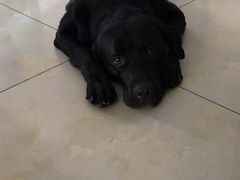 -纳吉亚猫专科动物医院博雅分院
