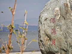 -洱海月湿地公园