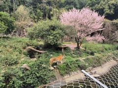-杭州动物园