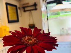 -舊新事咖啡NOTHING NEW COFFEE