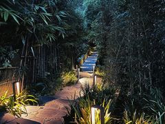 -青城山
