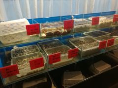 -华盛丰温州大排档(东三环南路店)