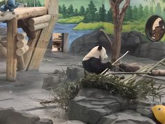 -秦皇岛野生动物园