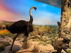 -国家自然博物馆