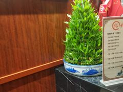 -裕和堂中医推拿艾灸(太古汇臻品店)